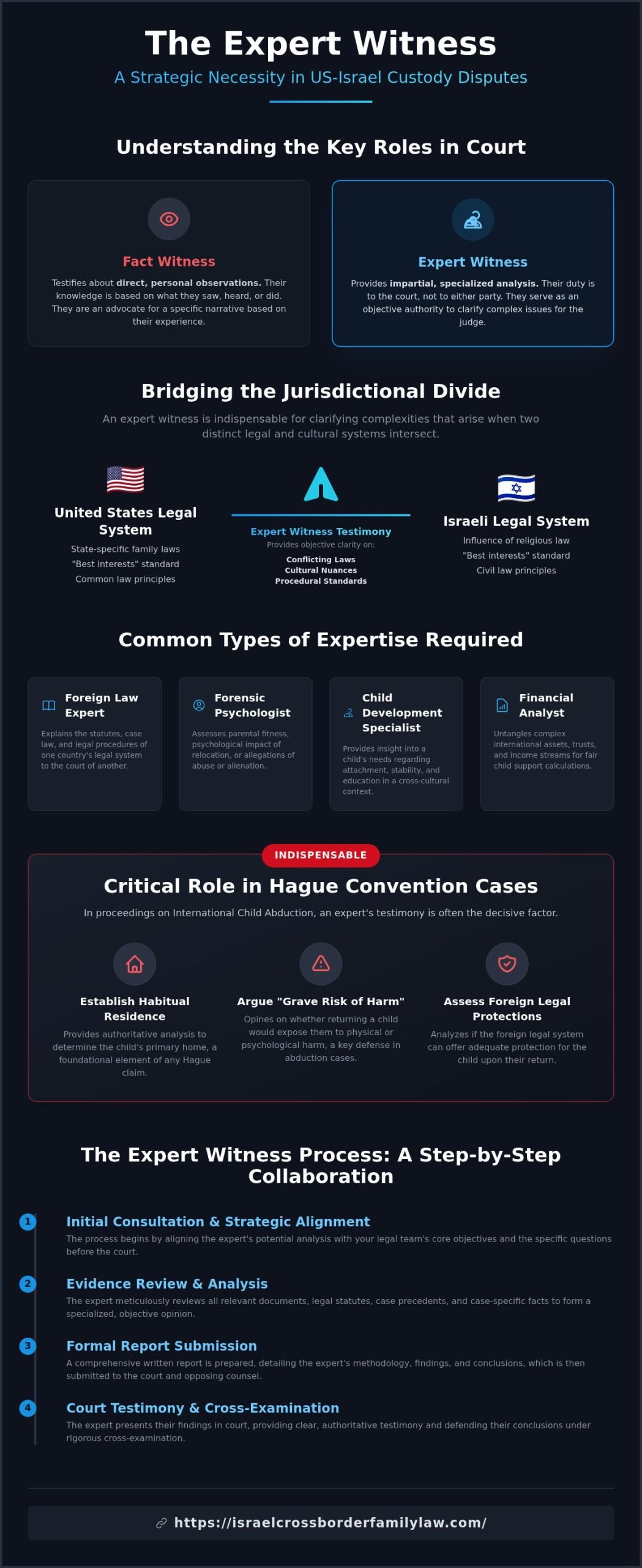 The Role of an Expert Witness in International Custody Disputes