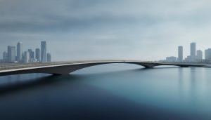 Amir Eliraz: Professional Family Law Expertise in IL
